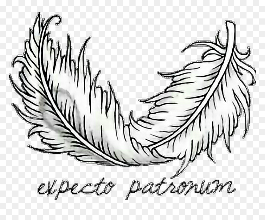 #tumblr #blackandwhite #expectopatronum #harry Potter - Harry Potter, HD Png Download - harry potter png tumblr