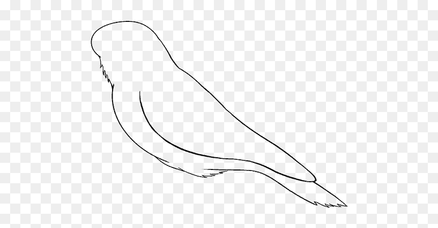 How To Draw Raven - Line Art, HD Png Download - raven feather png
