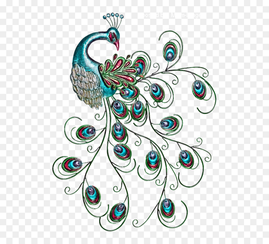 Paon Png, Tube Oiseau, Scrapbooking - Art, Transparent Png - peacock png image