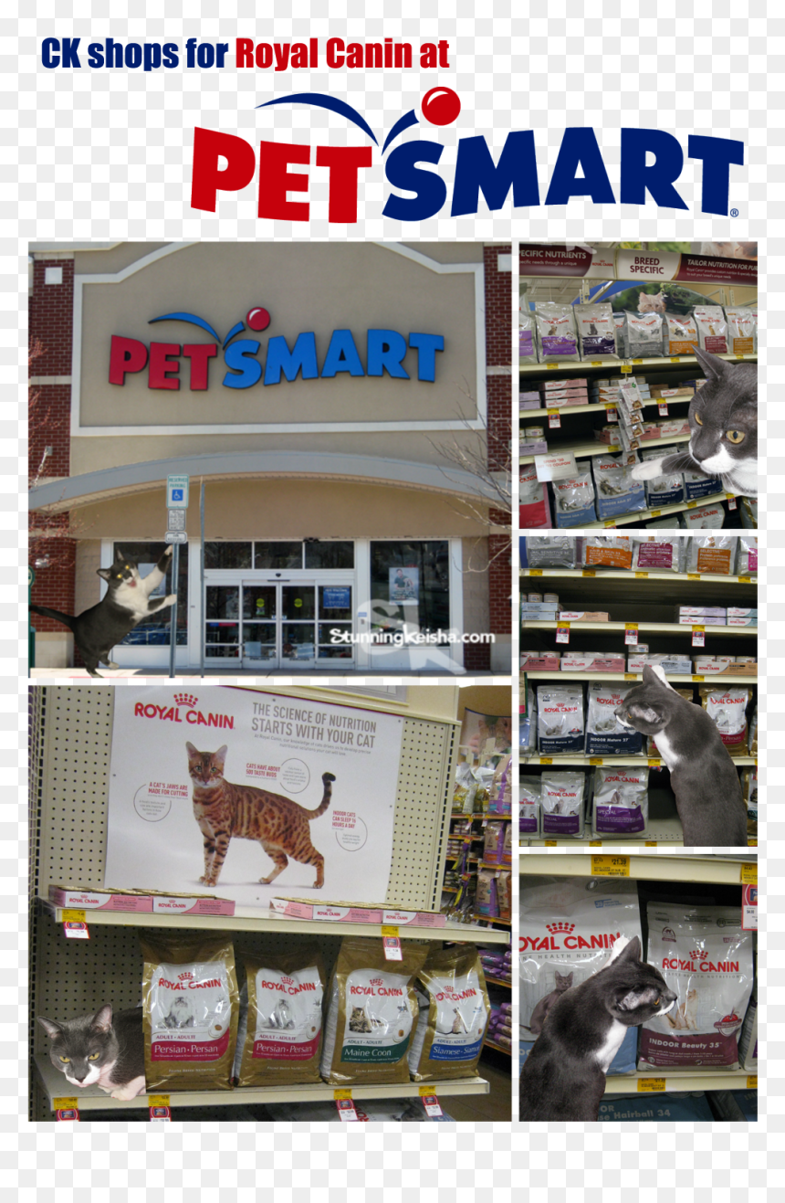 I Had A Great Time Visiting Petsmart Last Week - Petsmart, HD Png Download - petsmart png