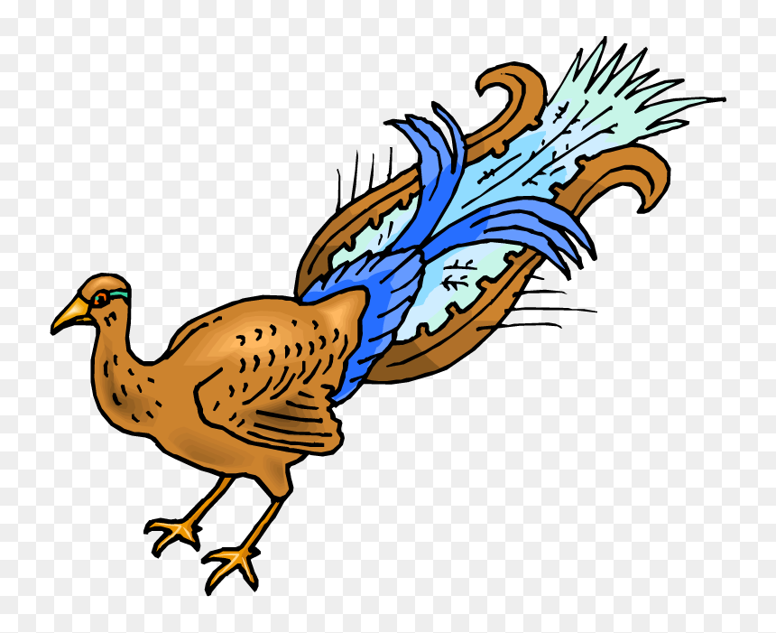 Peacock Clipart Female Peacock - Peafowl, HD Png Download - peacock png image
