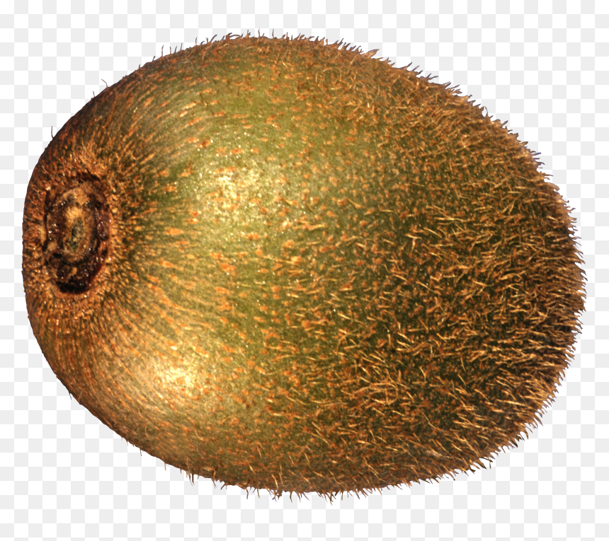 Transparent Background Kiwi Png, Png Download - cola splash png