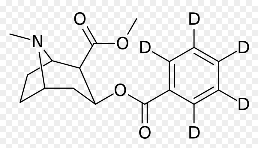 File - D5-phenyl Cocaine - Svg - Cocaine Vs Cocaine Methiodide, HD Png Download - cocain png