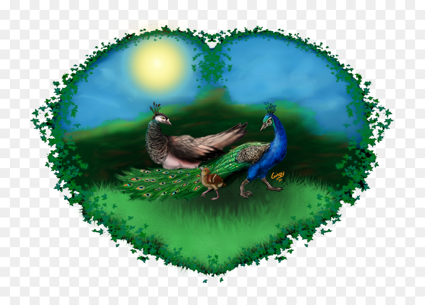 Image, HD Png Download - peacock wings png