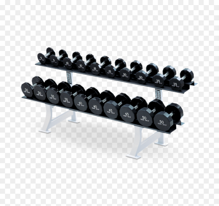 Life Fitness 2 Tier Dumbbell Rack, HD Png Download - gym dumbbells png