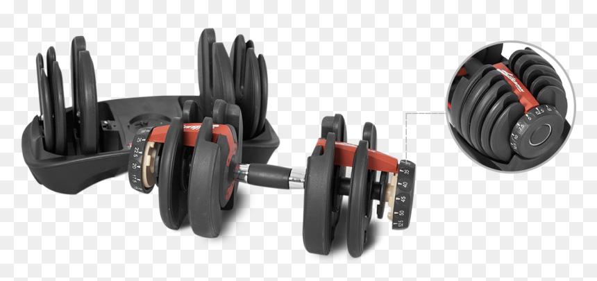 Weights, HD Png Download - gym dumbbells png