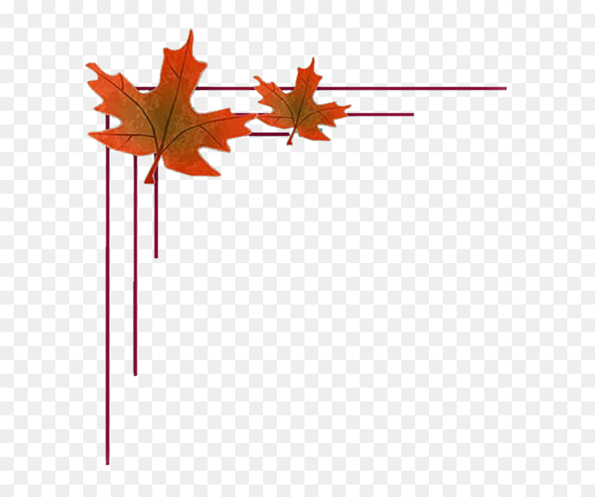 Transparent Png Plants For Photoshop - Wedding Frames Hd Png, Png Download - png objects for photoshop