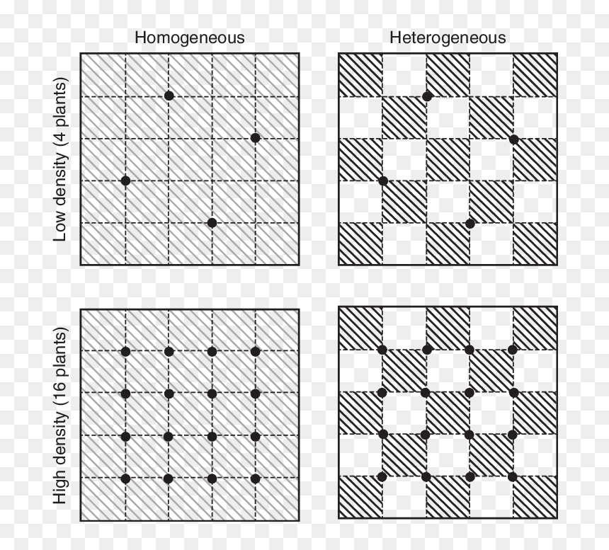 Unshaded, HD Png Download - squares design png