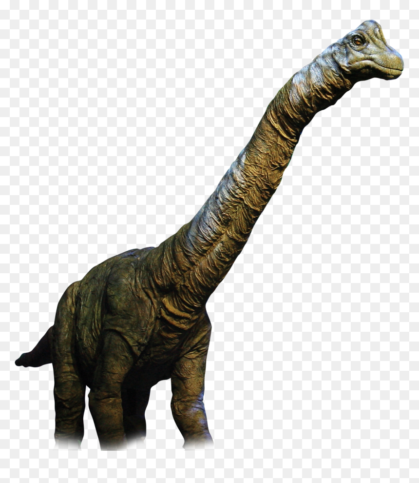 Dinosaur Real Png Clipart , Png Download - Transparent Background Dinosaur Png Hd, Png Download - real png