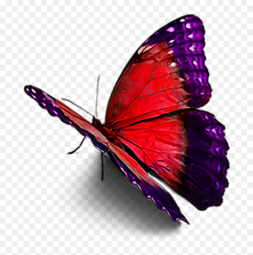 Picsart New Hd Sticar, Png Download - Butterfly Images Hd Png, Transparent Png - picsart png new