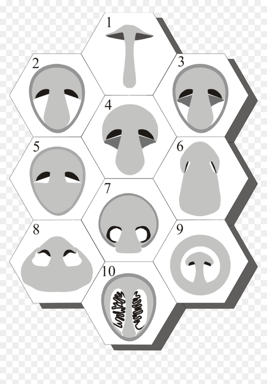 A Montage Of Diagrammatic Sections Illustrating The - Circle, HD Png Download - montage png