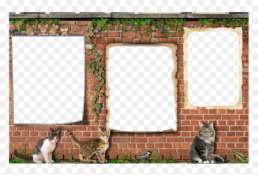 Cadre Pour 3 Photos Png, Transparent Png - montage png