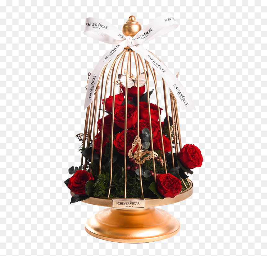 Love Cage Garden - Cage, HD Png Download - love forever png
