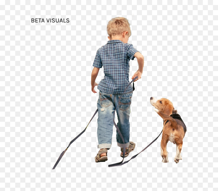 Hound, HD Png Download - png objects for photoshop