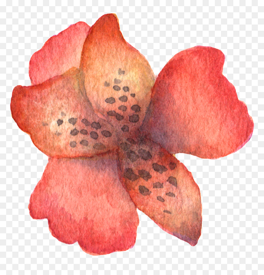 Hand Painted Stick Figure A Red Flower Watercolor Transparent - Watercolor Painting, HD Png Download - flower stick png