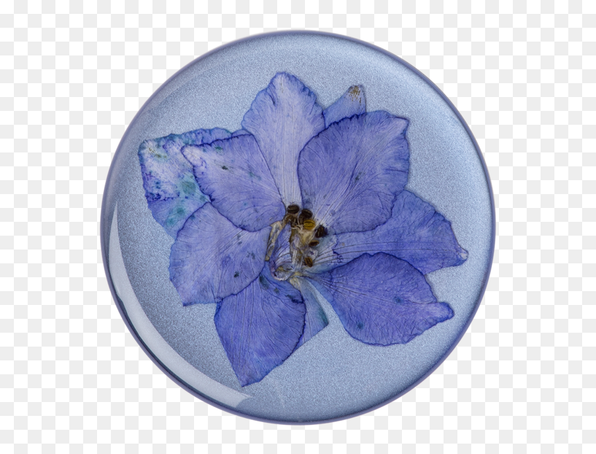 Pressed Flower Larkspur Purple"

 
 Data Rimg="lazy"
 - Purple Flowers Pop Socket, HD Png Download - flower top view png