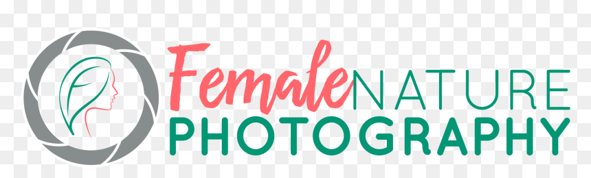 Female Nature Photography - Female Photography Logo, HD Png Download - photography png text