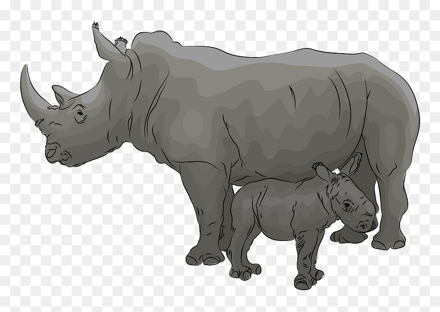 Mother With Baby Rhino Clipart - Indian Rhinoceros, HD Png Download - indian baby png