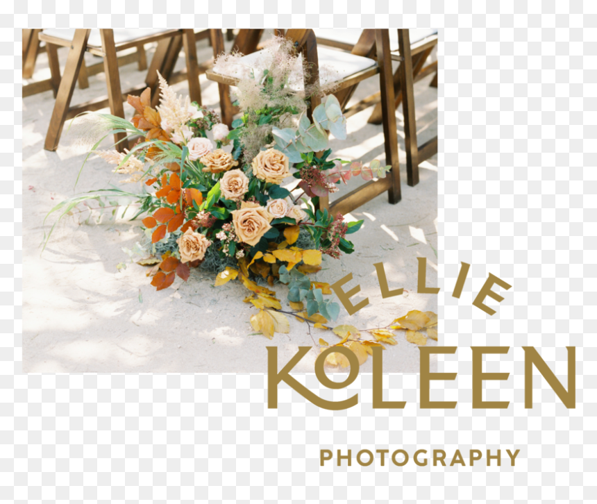 Home-06, HD Png Download - photography png text