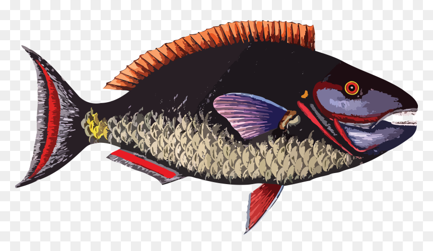 Coral Clipart Fish Group - People Who Are Allergic To Fish, HD Png Download - fish group png