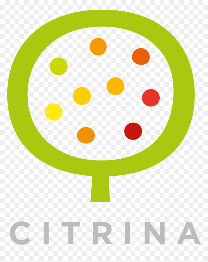 Citrina - Placas De Transito Proibido Buzinar, HD Png Download - dry leaves falling png