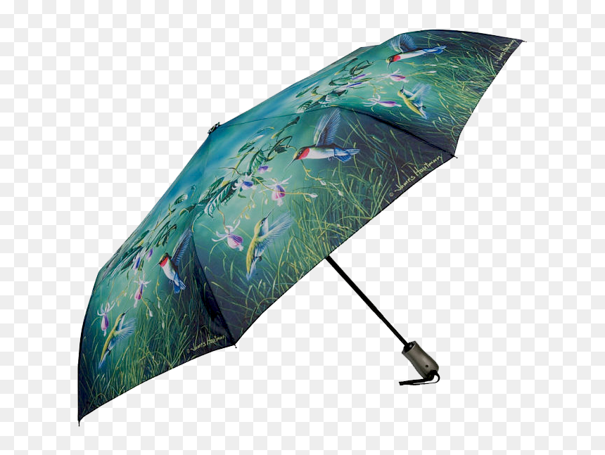 Humming Birds, HD Png Download - folding umbrella png