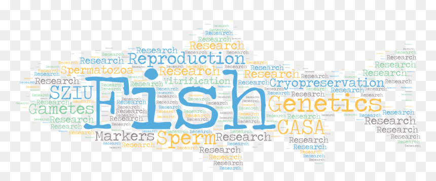 Fish Reproduction Group - Calling All Crows, HD Png Download - fish group png