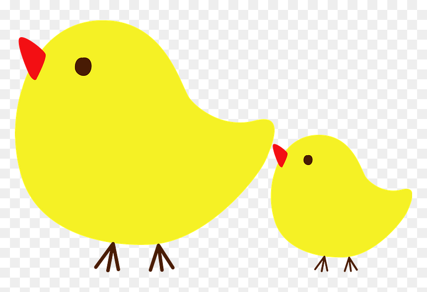 Chicks Bird Clipart - Chicken, HD Png Download - chicks png
