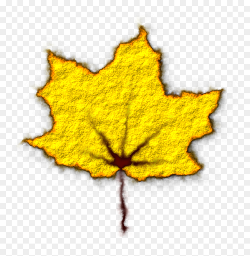Transparent Fallen Leaves Png - Maple Leaf, Png Download - yellow leaf png