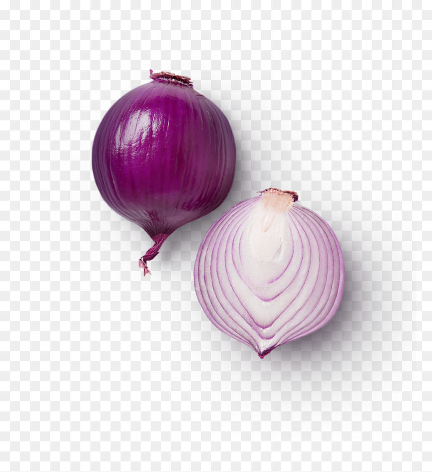 Thumb Image - Onion, HD Png Download - onion.png