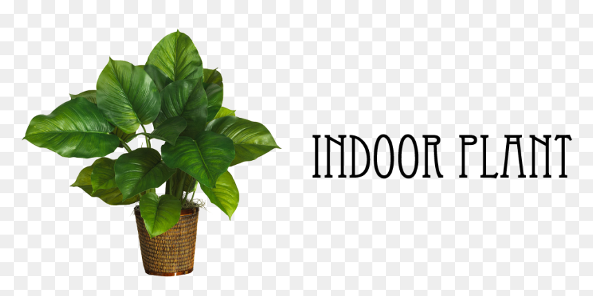 6 - Artificial Planting Png, Transparent Png - gulmohar tree png