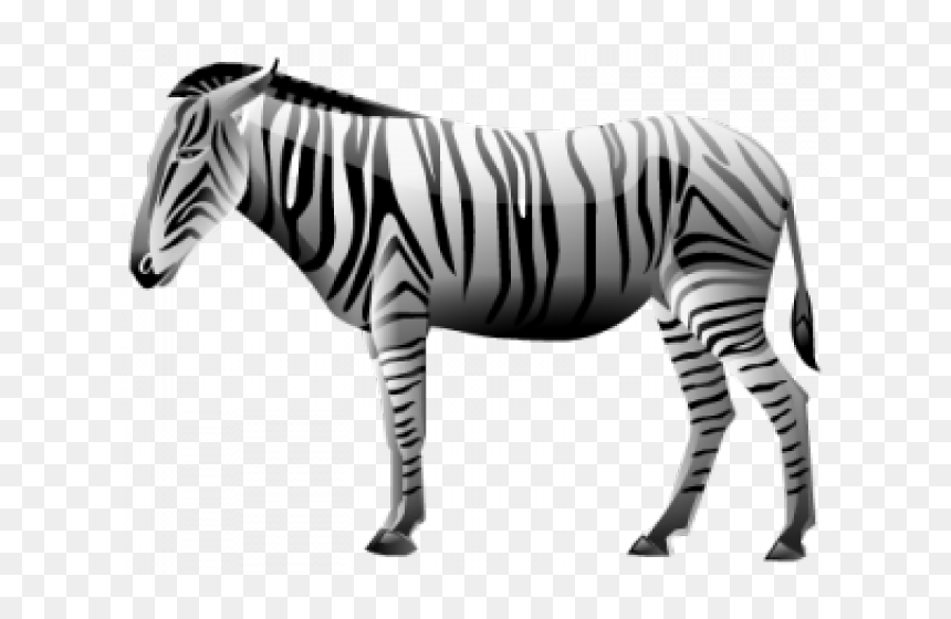 Zebra Png Transparent Images - Zebra Icon Transparent, Png Download - zebra png images