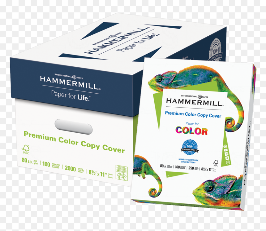 Hammermill Premium Color Copy Paper 100b 80lb Letter - Cardstock For Alcohol Markers No Feather, HD Png Download - color papers png