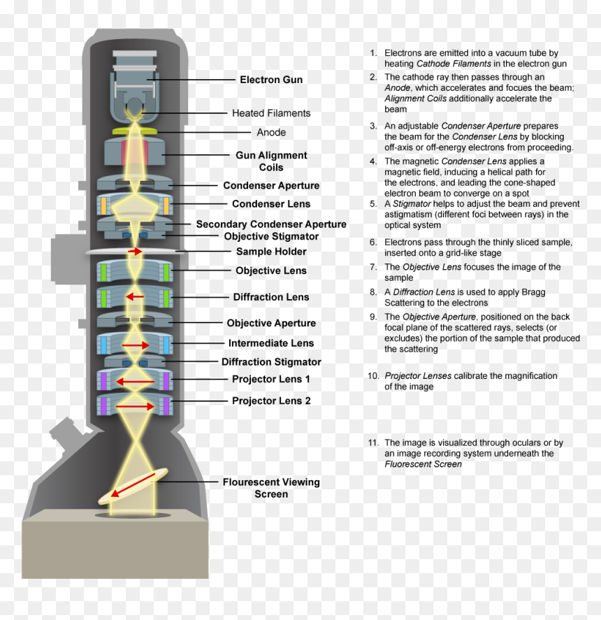 Transmission Electron Microscope - Cable, HD Png Download - microscope png images