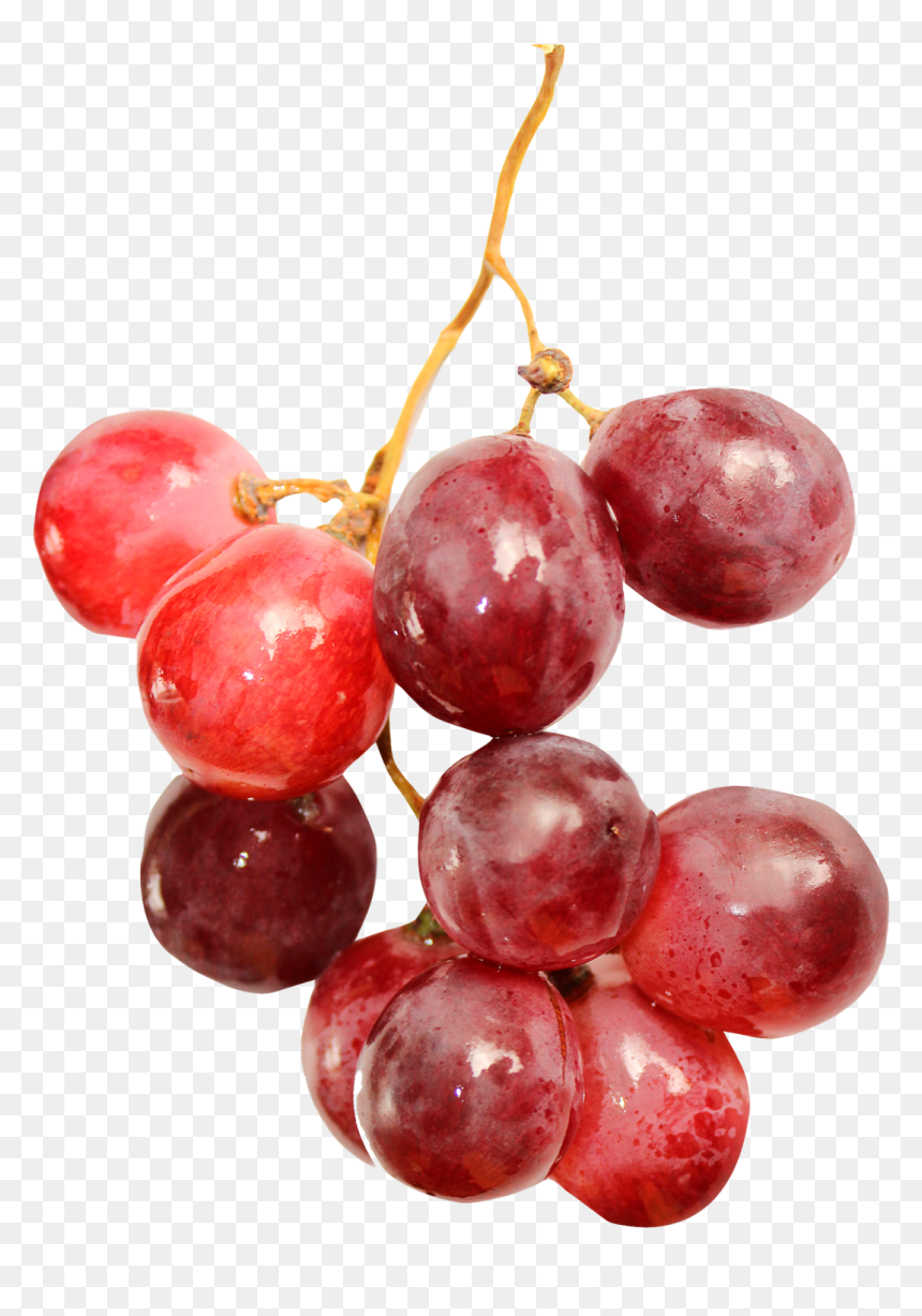 Red Wine Grape Fruit - Transparent Red Grapes Png, Png Download - grapes png images