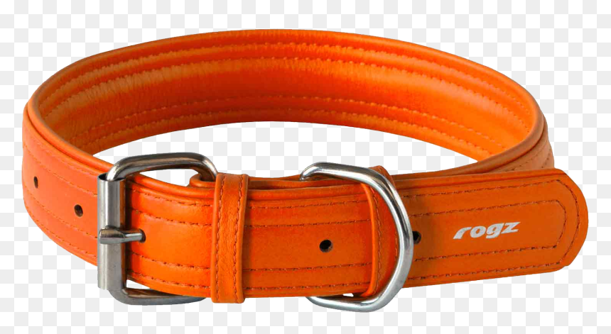Rogi Dog Collar Orange Belt Pictures - Dog Collar Png Orange, Transparent Png - dog belt png