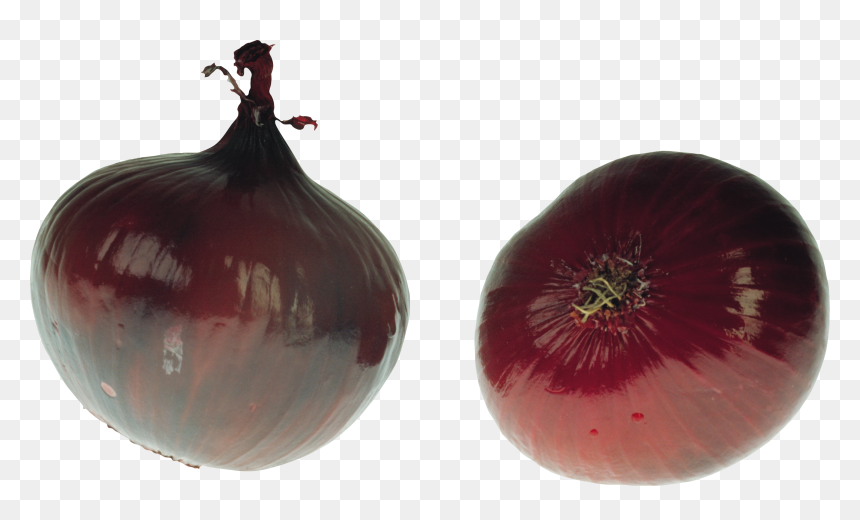 Download For Free Onion Png In High Resolution - Onion, Transparent Png - onion.png