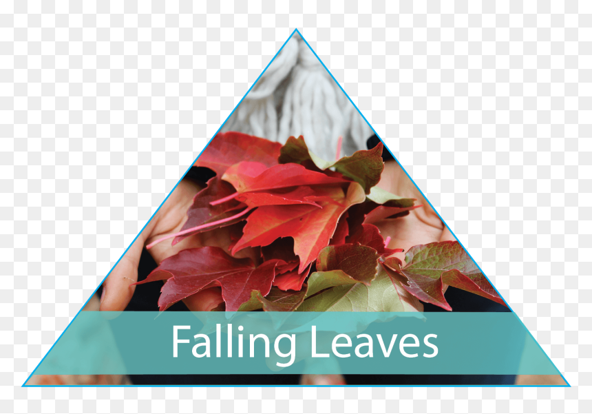 Maple Leaf, HD Png Download - dry leaves falling png