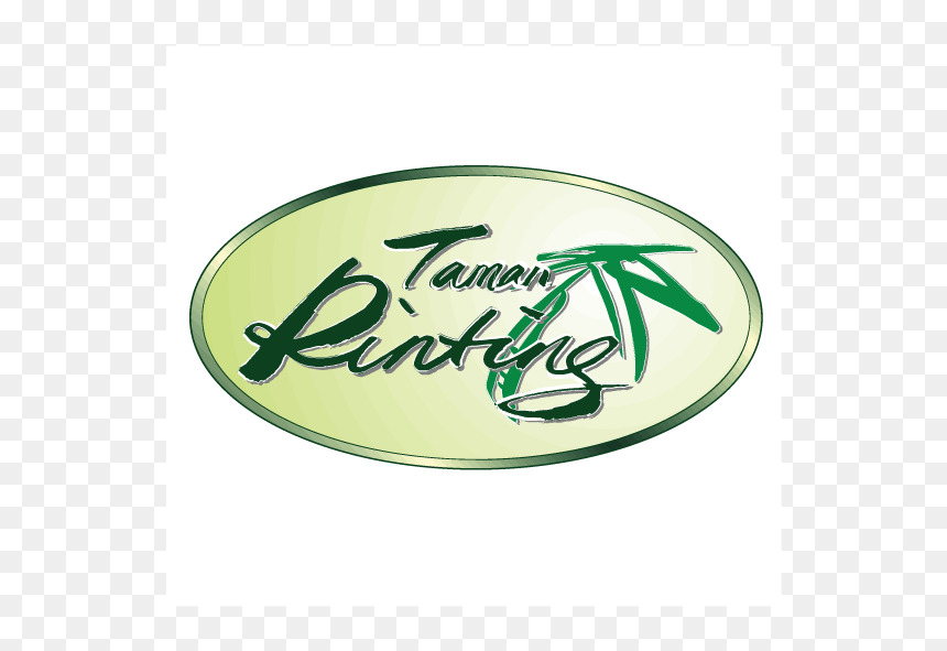 Illustration, HD Png Download - cemara png