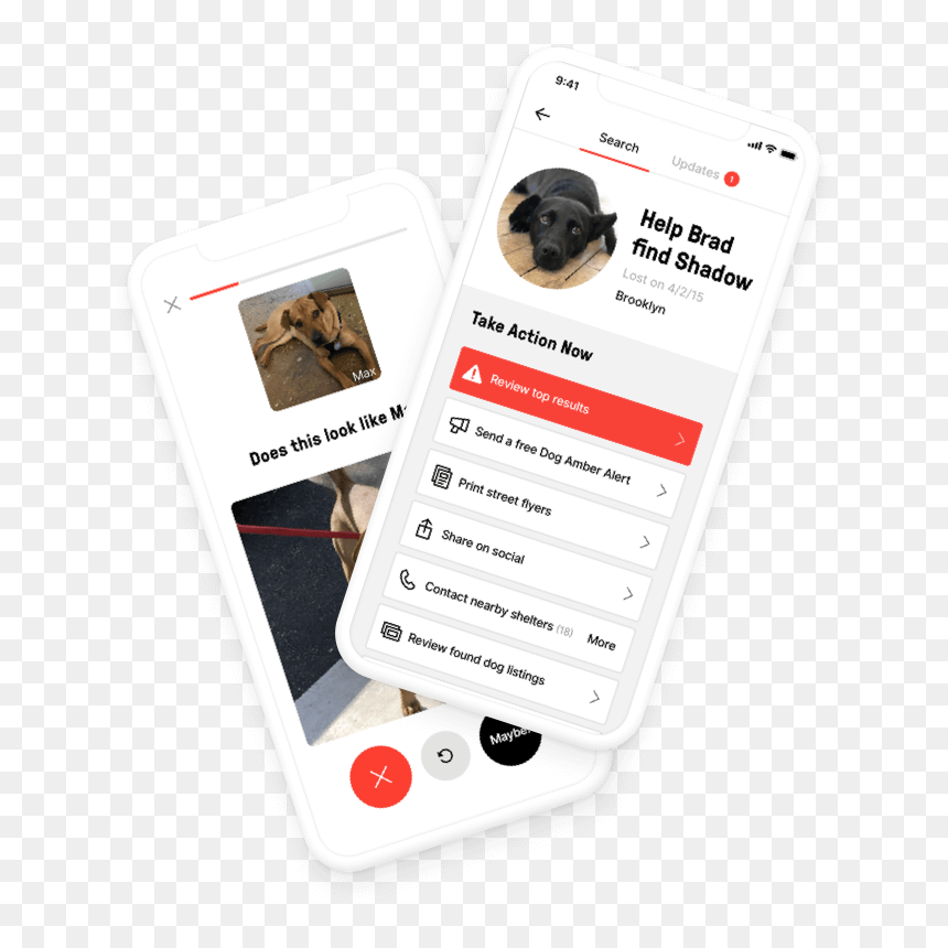 Card Game, HD Png Download - top shadow png