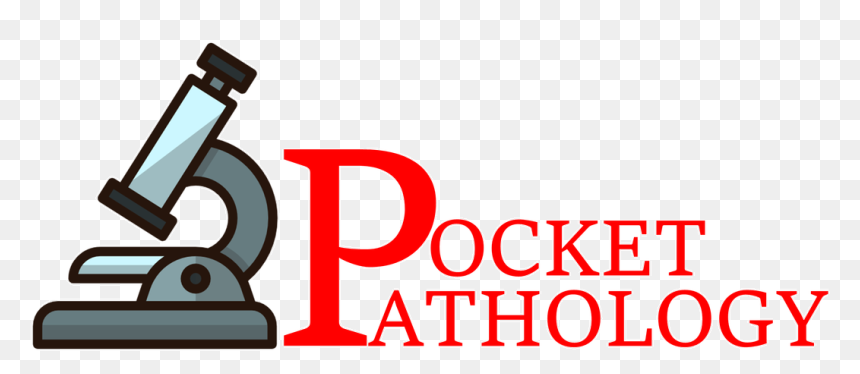 Pocket Pathology - Berkshire Hathaway Home Service Utah, HD Png Download - microscope png images