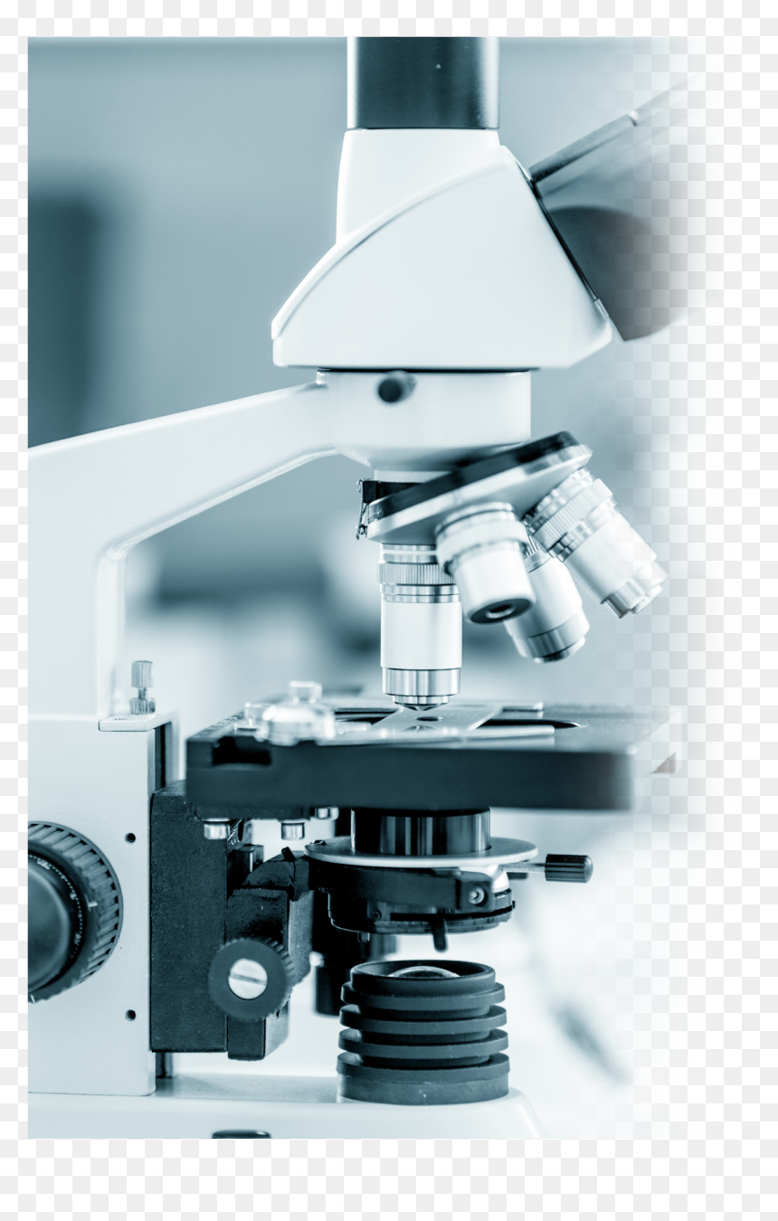 54 Pm 7636 Mosquito 12/10/2015 - Medical Laboratory, HD Png Download - microscope png images