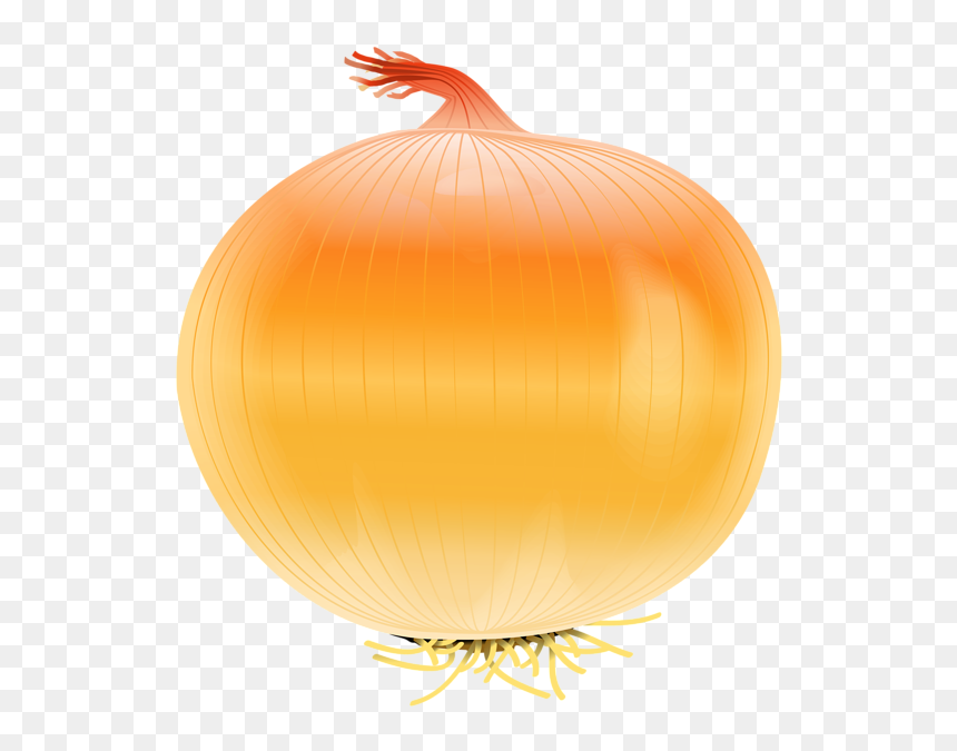 Garlic Clipart Allium Sativum - Onions Clip Art Png, Transparent Png - onion.png