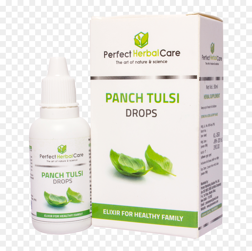 Picture - Perfect Herbal Care, HD Png Download - tulsi tree png