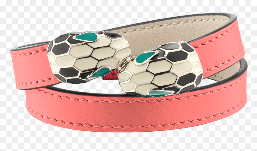 Belt, HD Png Download - dog belt png