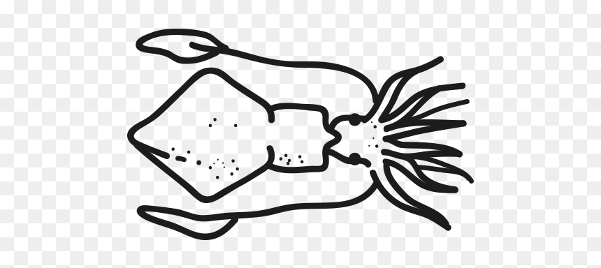 Puntilla Loligo Duvauceli - Line Art, HD Png Download - indian baby png