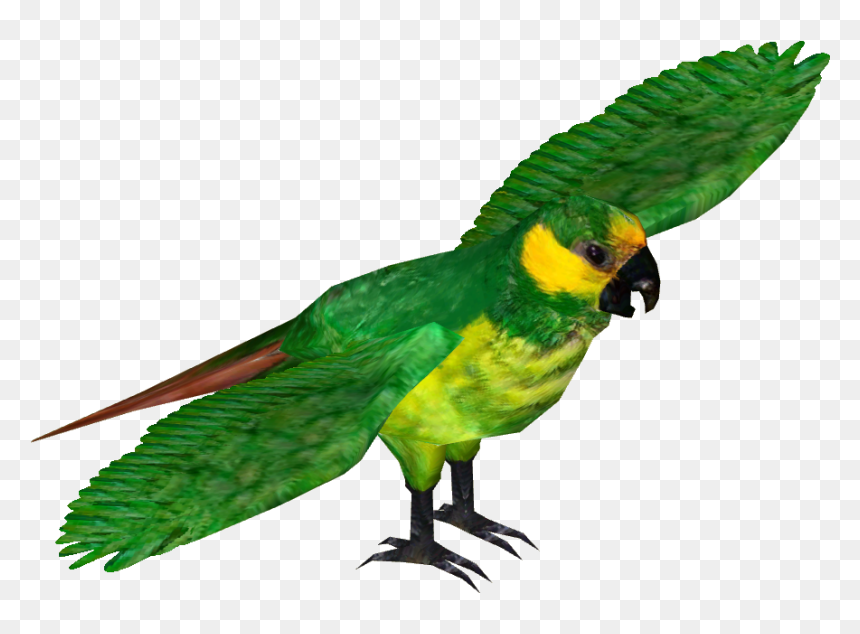 Yellow Eared Parrot , Png Download - Blue And Gold Macaw Rio Png, Transparent Png - green parrot png