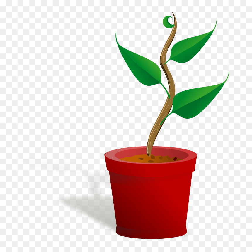 Clip Art Church Growth Free - Getting To Know Plants, HD Png Download - plants.png