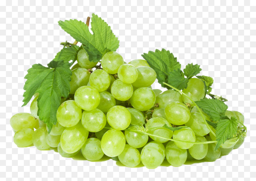 Green Grapes Png Image - Finca Buenos Aires Nicaragua, Transparent Png - grapes png images