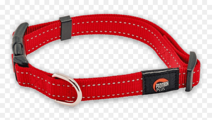 Belt, HD Png Download - dog belt png